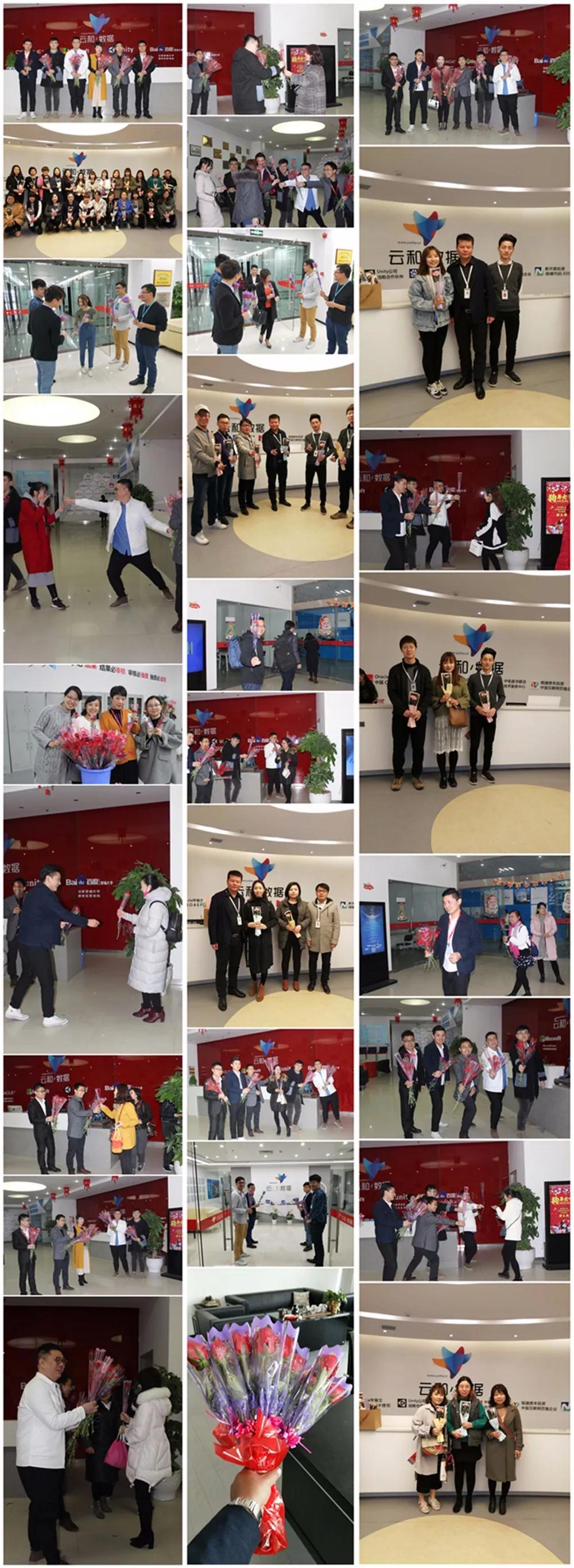 云和数据女神节特辑 | 春风十里,不如有你