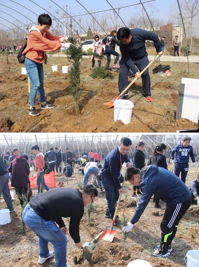 做百年事业,育百年英才——建设绿色教育生态,我们在行动